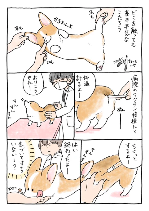 細かいことは気にしないぬ 