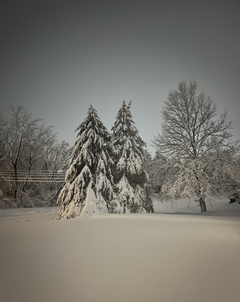 A cruel way to start off April in St. Paul
