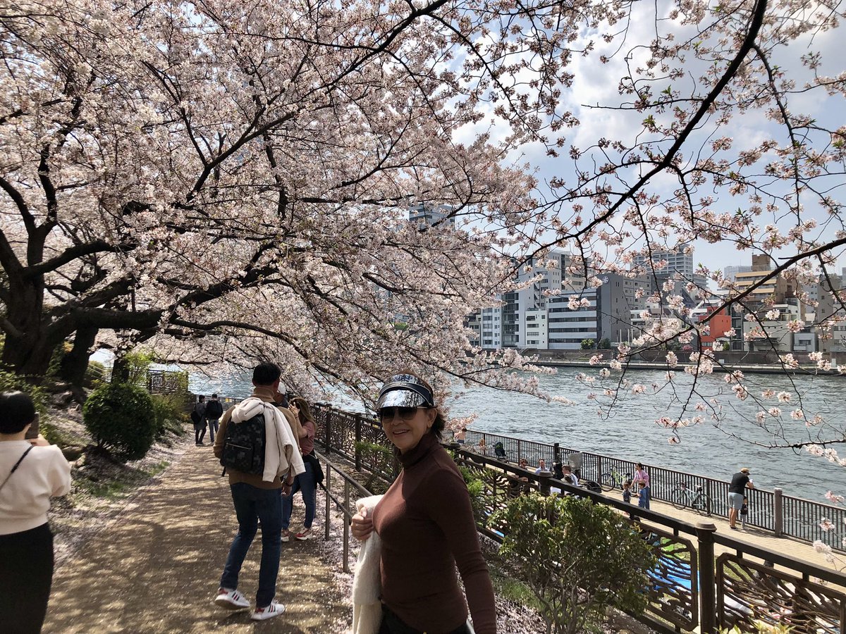 mayumi_hasegawa's tweet image. Really nice enjoying Hanami picnic with my guests from California. What a beautiful day we had❣️
#cherryblossoms 
#tokyo #customizedtour 
#beautifulday #Japan