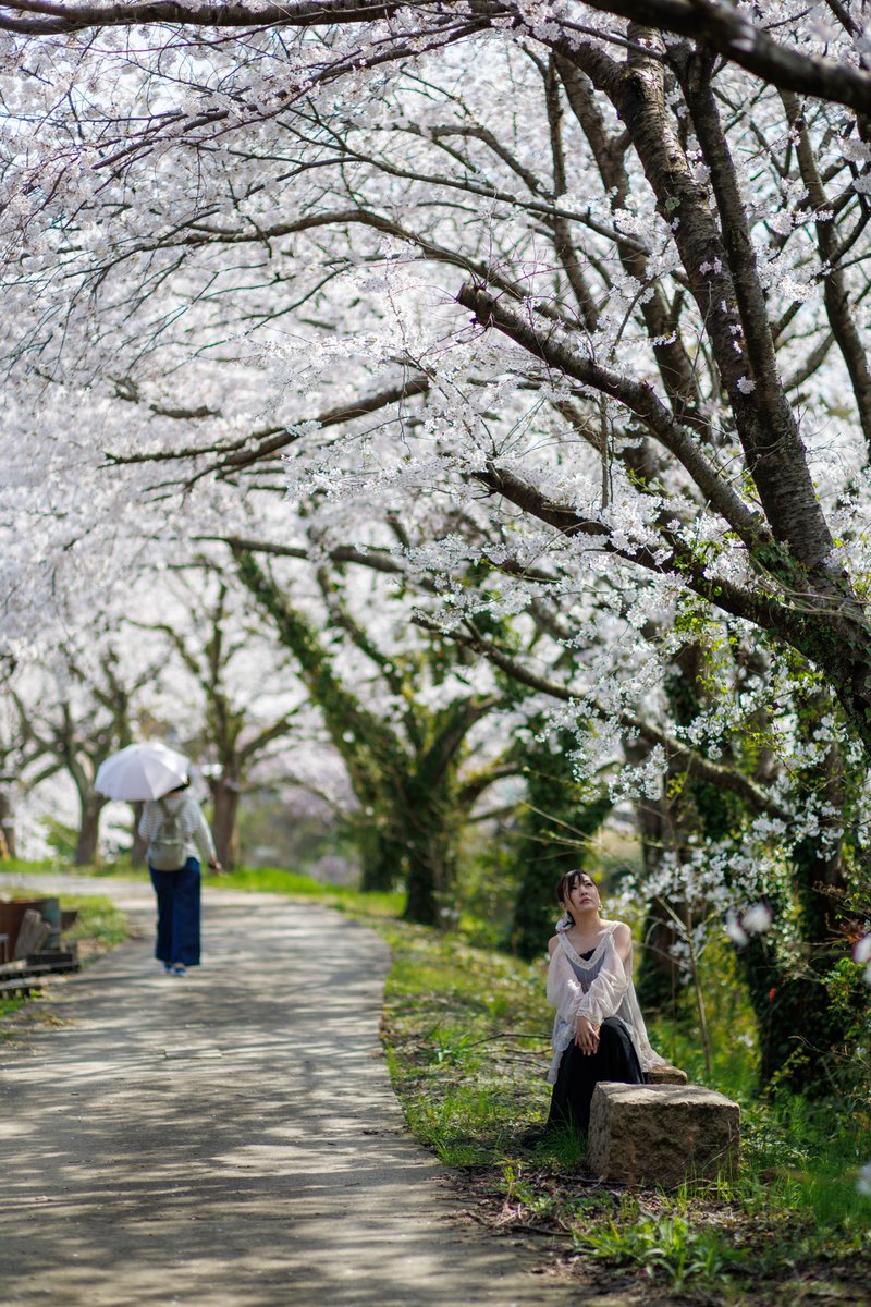 春を楽しむ。
・
・
・
#portrait #igersjp #photo #canon #eosr6markii #zeiss #zeisslens #zeissplanar #春 #春色 #spring #桜 #cherryblossom