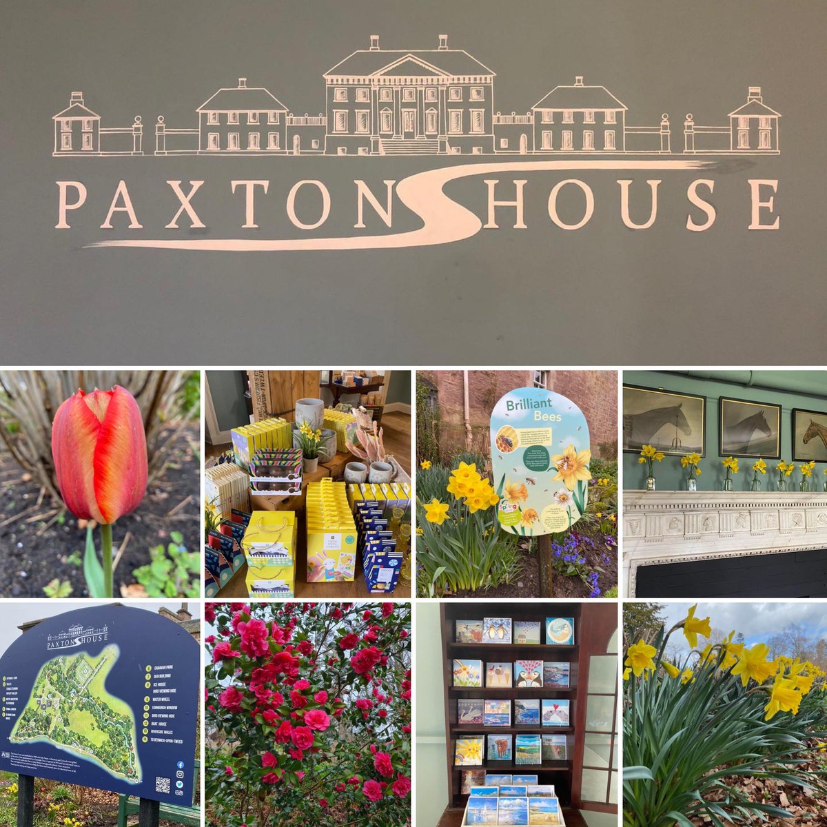 Paxton House (@paxtonhouse) on Twitter photo Happy 1st of April- we are open &
we have so much to do for all ages:
Lego Exhibition
Spring Trail
Tours
Playground
Waterwheel demos
Great cakes and cuppas
Lovely stock to buy
Boat trips on the Tweed
Tickets available: wwwpaxtonhouse.co.uk
<a href="/HereScotland/">Discover South Scotland - Scotland Starts Here</a> <a href="/SScotDAlliance/">SSDA - South of Scotland Destination Alliance</a> Happy 1st of April- we are open &
we have so much to do for all ages:
Lego Exhibition
Spring Trail
Tours
Playground
Waterwheel demos
Great cakes and cuppas
Lovely stock to buy
Boat trips on the Tweed
Tickets available: wwwpaxtonhouse.co.uk
<a href="/HereScotland/">Discover South Scotland - Scotland Starts Here</a> <a href="/SScotDAlliance/">SSDA - South of Scotland Destination Alliance</a>