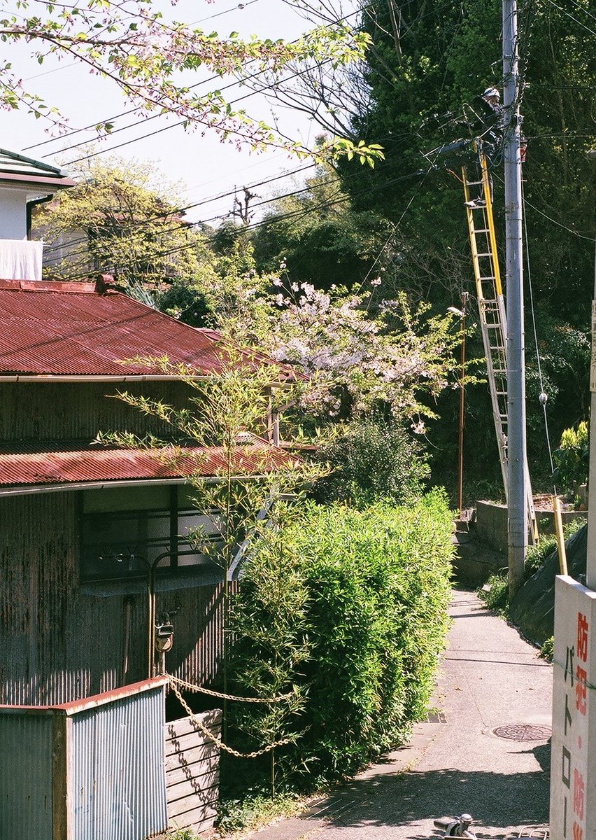 q3At7j0UfLMB30K's tweet image. EOS 10Dで桜撮りまくってるけど
一眼レフやっぱり楽しいな

#film
#SUPERIA PREMIUM400