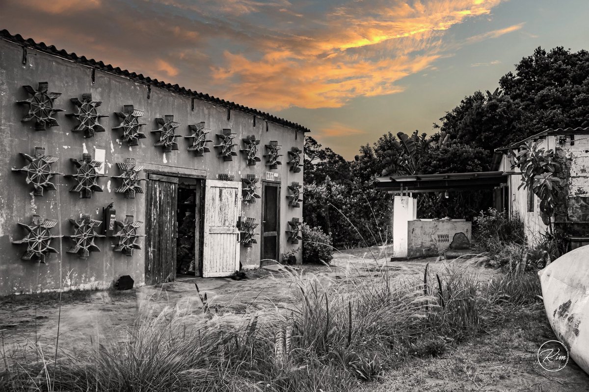 Cthrume71's tweet image. The Hatchery in lowlight 🤗😜📸

#lowlight #photogrpahylovers  #canonrsa #cthrume #thehatchery #borderingnowhere