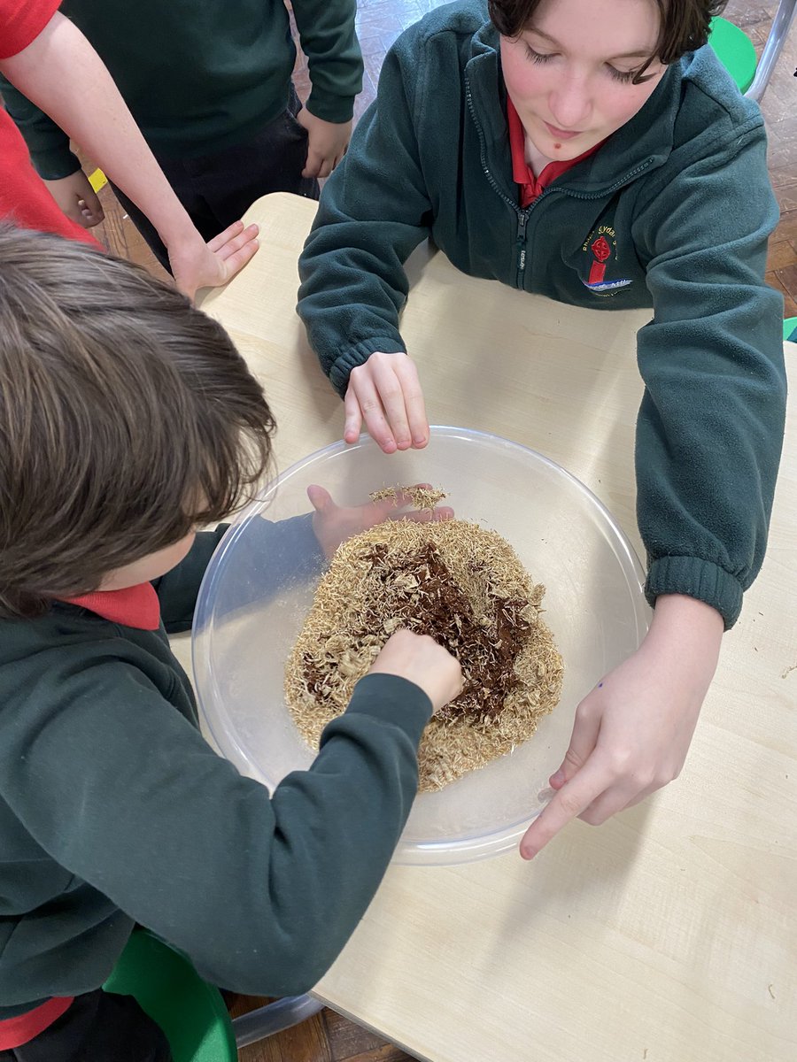 Ysgol Croes Atti tweet media