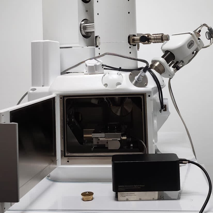 emu_nus's tweet photo. We are happy to be able to try SBF with the Katana microtome, thanks to @connectomx3d and JEOL Asia! The Katana will be in our Unit soon, to be used in our SEM, for a trial period. Looking forward! https://t.co/WeA0C9XFt8
