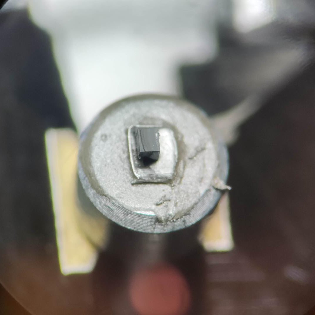 emu_nus's tweet photo. We are happy to be able to try SBF with the Katana microtome, thanks to @connectomx3d and JEOL Asia! The Katana will be in our Unit soon, to be used in our SEM, for a trial period. Looking forward! https://t.co/WeA0C9XFt8