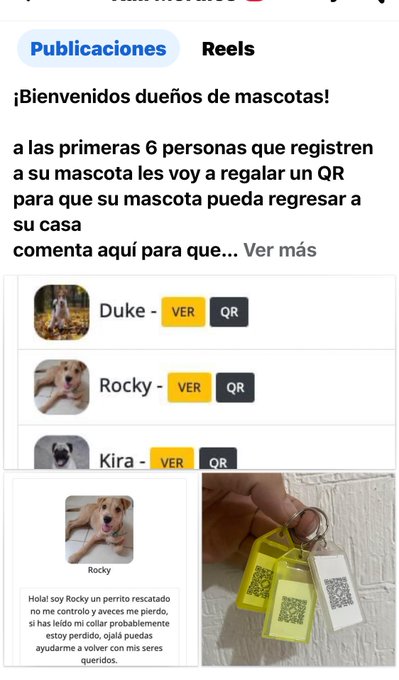 Estoy intentando emprender algo, ya les ir&eacute; contando c&oacute;mo me va, hice un sitio web de QR&rsquo;s y entre todo