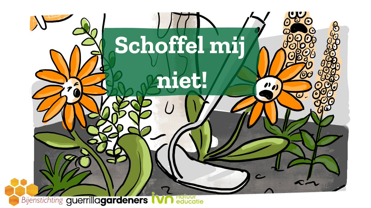 Wat zie jij liever in je buurt: bloeiend groen of kale aarde?

Teken onze petitie zodat alle fijne buurttuinen behouden blijven. 

We vragen gemeenten hun schoffelbeleid om te keren!

guerrillagardeners.nl/schoffel-me-ni…

#buurtvergroeners #schoffelmijniet

<a href="/Bijenlint/">Bijenstichting</a> <a href="/IVNNederland/">IVN Natuureducatie</a>
^Jenny