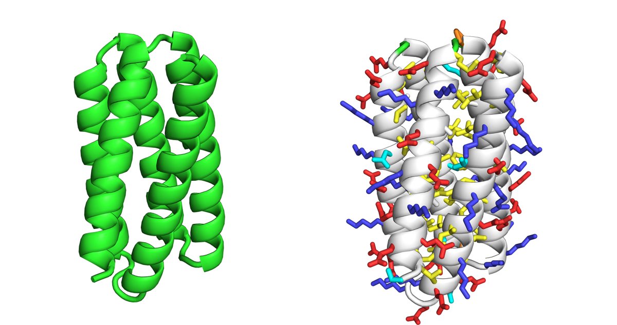 kobnaoya's tweet image. いま作ってみた1
左: RFDiffusion生成構造、右: ProteinMPNNで配列生成してESMFoldで予測した構造
#RFDiffusion  #ProteinMPNN #ESMFold