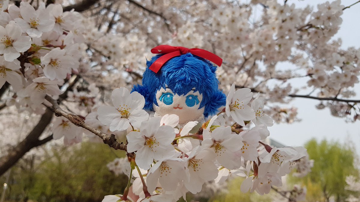 Yu_lli_Ss's tweet photo. 아기새 델고 꽃구경 다녀왔어요🌸 https://t.co/Bfi8tiPITE