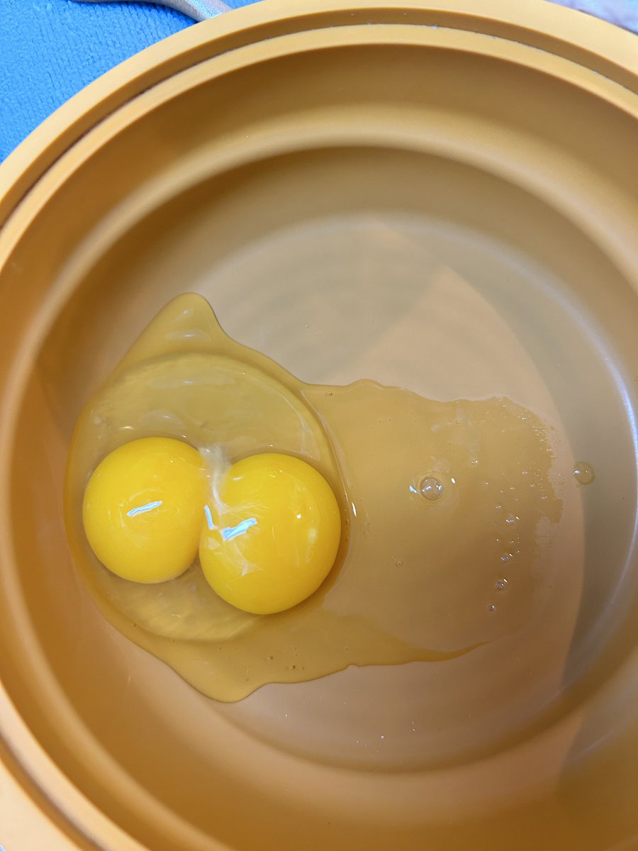naginoki888's tweet photo. 双子の卵🥚だった😆💕
ラッキー✨
#幸せ　#ラッキー　#ツキを呼び込む https://t.co/p9KHIwFH86