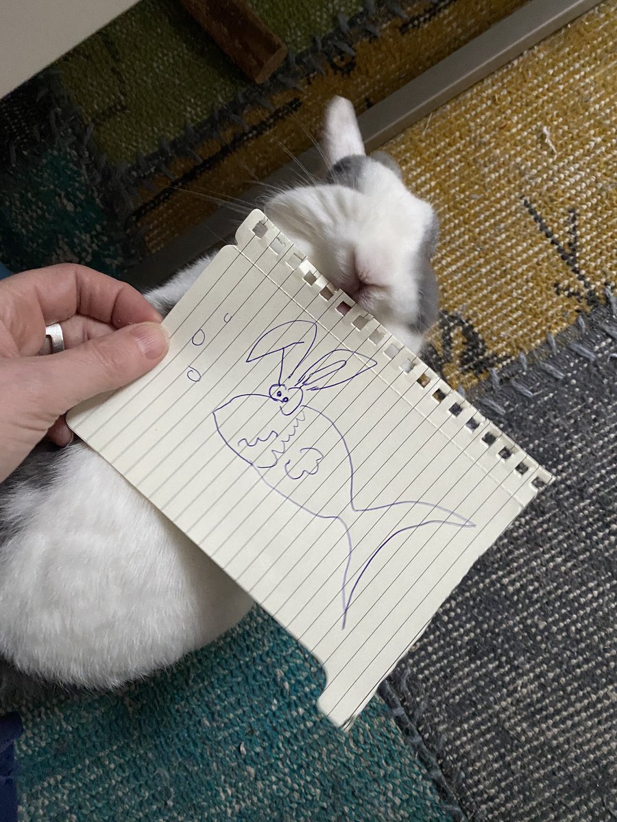 Il ne veut pas jouer cette année.
Même les lapins ont perdu leur humour