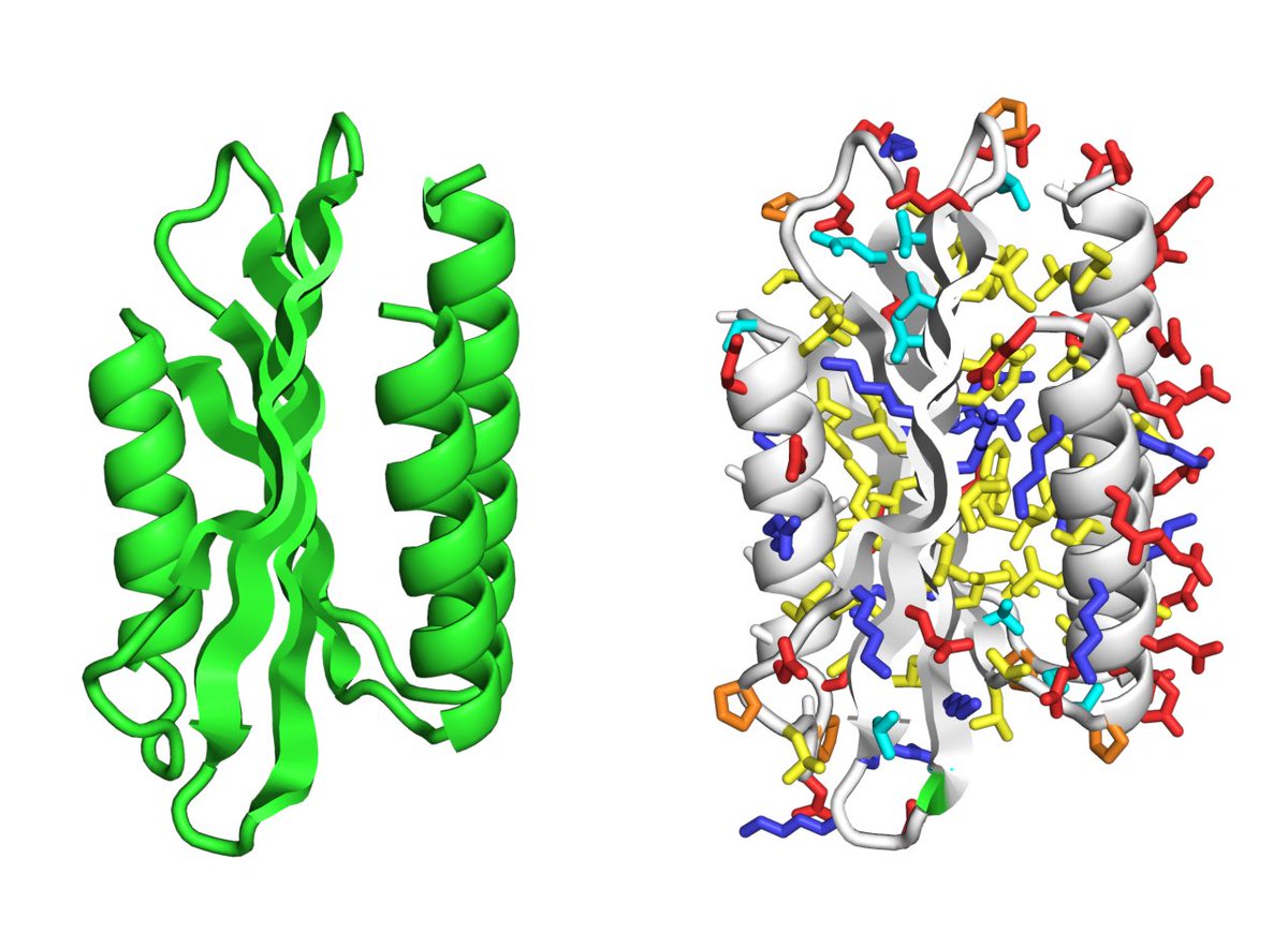 kobnaoya's tweet image. いま作ってみた3
左: RFDiffusion生成構造、右: ProteinMPNNで配列生成してESMFoldで予測した構造
#RFDiffusion on colaboratory--&amp;gt; #ProteinMPNN ---&amp;gt; #ESMFold