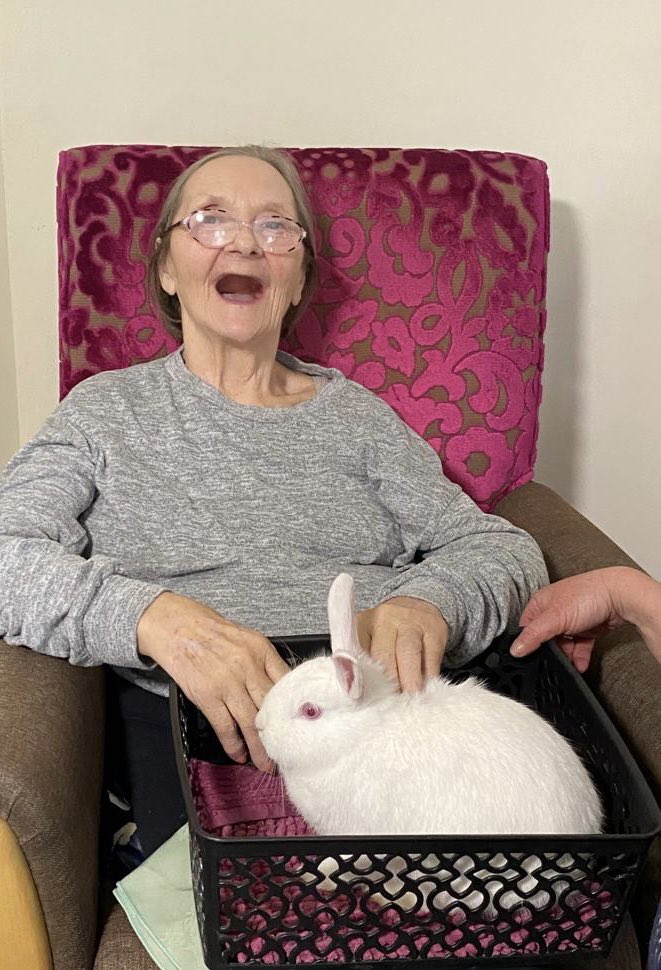 SilverCourtAH's tweet photo. We certainly did kick start #NationalPetMonth with a lovely visit from the pets & pony. The residents absolutely loved them and the staff also did too! #Animals bring so much joy ๐ฅฐ ๐ถ๐๐ด @AnchorLaterLife @AboutEG #felbridge #farm https://t.co/3R7xoxiisT