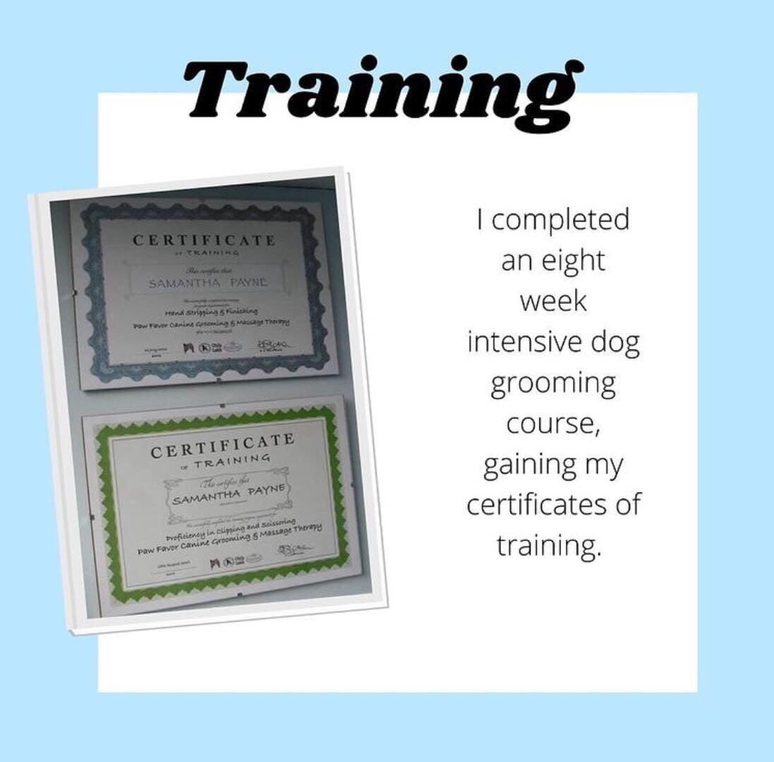 Dashing_Dogs's tweet photo. ~ Certificates Of Training ~

#dog #dogs #groom #groomer #grooming #doggroomer #doggrooming #training #certificates #course #alfreton #alfretontown #dashingdogs https://t.co/Yhr5vItZvC