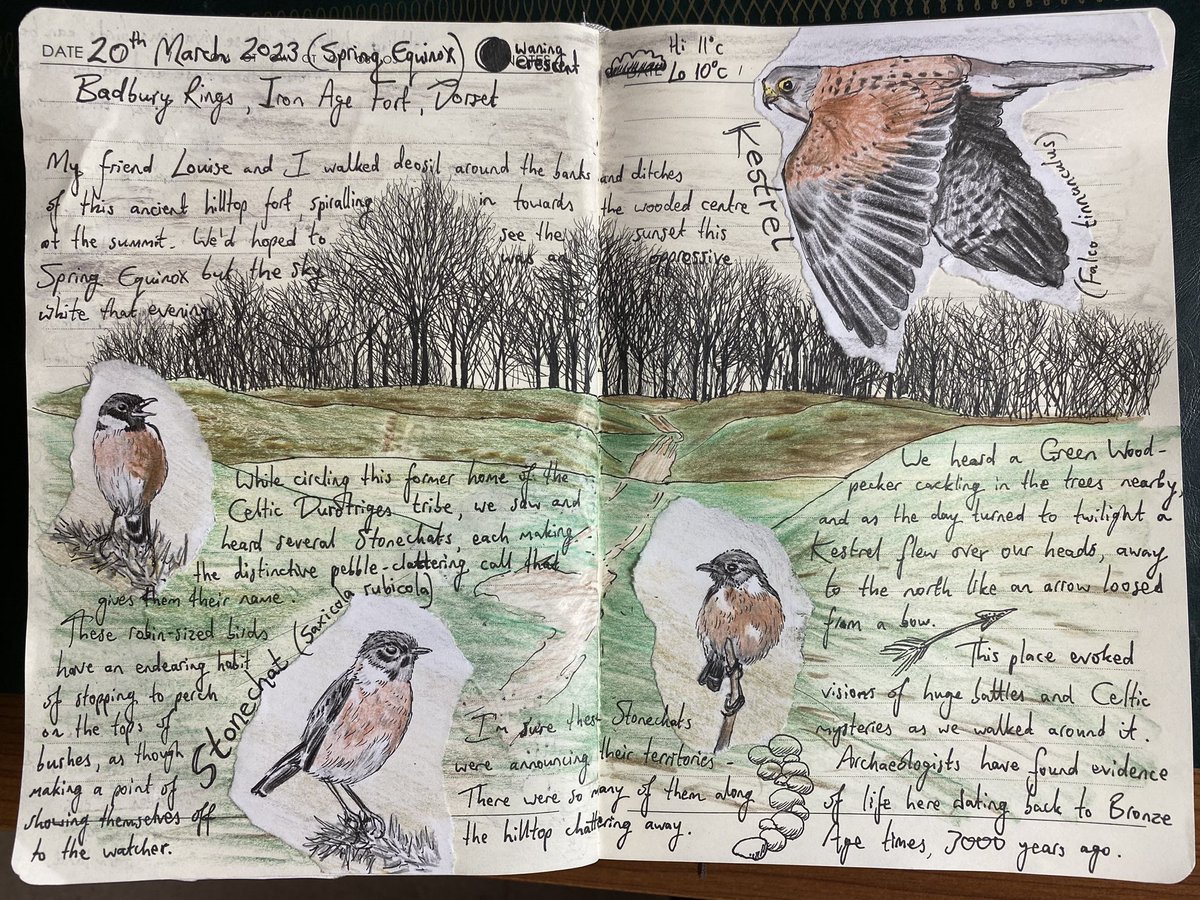 Pages from my nature journal last month: A walk at the Iron Age fort of Badbury Rings in Dorset for the Spring Equinox 🌗☯️🌓 

#naturejournal #naturediary #natureranger #naturelovers #wildlife #naturejournalingcircle  #artistsketchbook #drawingnature #theartfulranger #birds