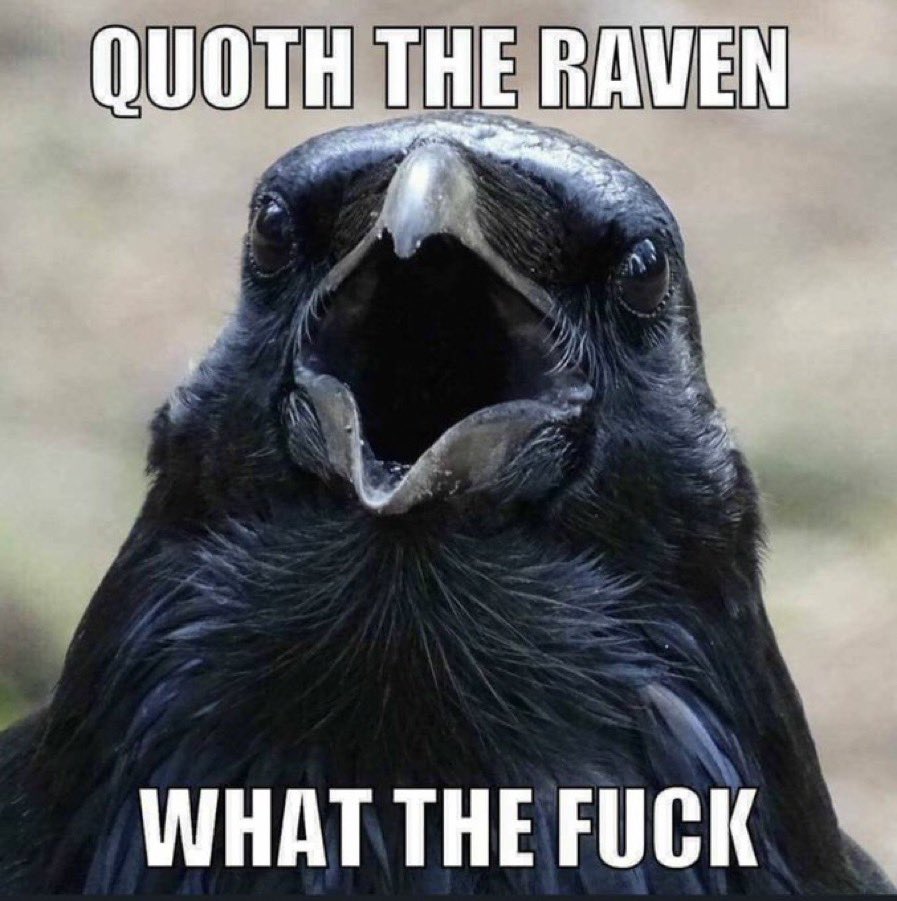 _abbimitchell's tweet image. 