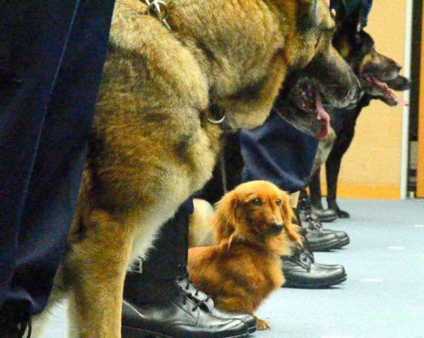 きときと🅿️T🔰 tweet media