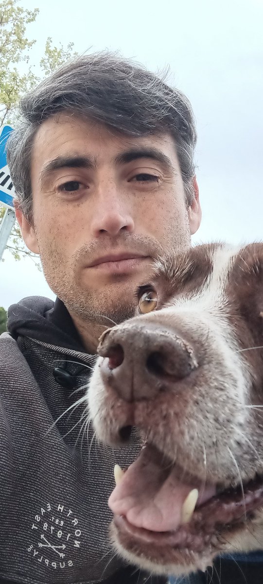 Creeptux_'s tweet photo. Un #paseoconmiperro buen días yai https://t.co/ybSpkwBEgH