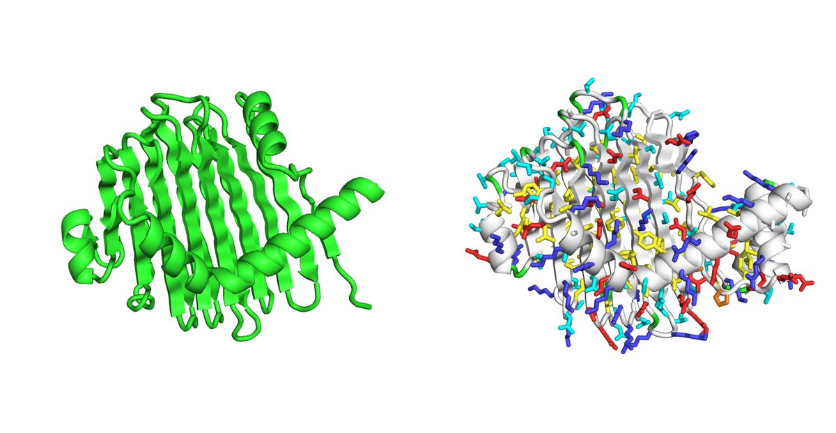 kobnaoya's tweet image. いま作ってみた4
 左: RFDiffusion生成構造、右: ProteinMPNNで配列生成してESMFoldで予測した構造

こんな怪しくて大きめ構造ができるのか？と思ったが一応ESMFoldで予測はされてきた。

#RFDiffusion  #ProteinMPNN #ESMFold