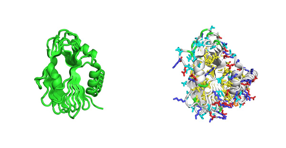 kobnaoya's tweet image. いま作ってみた4
 左: RFDiffusion生成構造、右: ProteinMPNNで配列生成してESMFoldで予測した構造

こんな怪しくて大きめ構造ができるのか？と思ったが一応ESMFoldで予測はされてきた。

#RFDiffusion  #ProteinMPNN #ESMFold