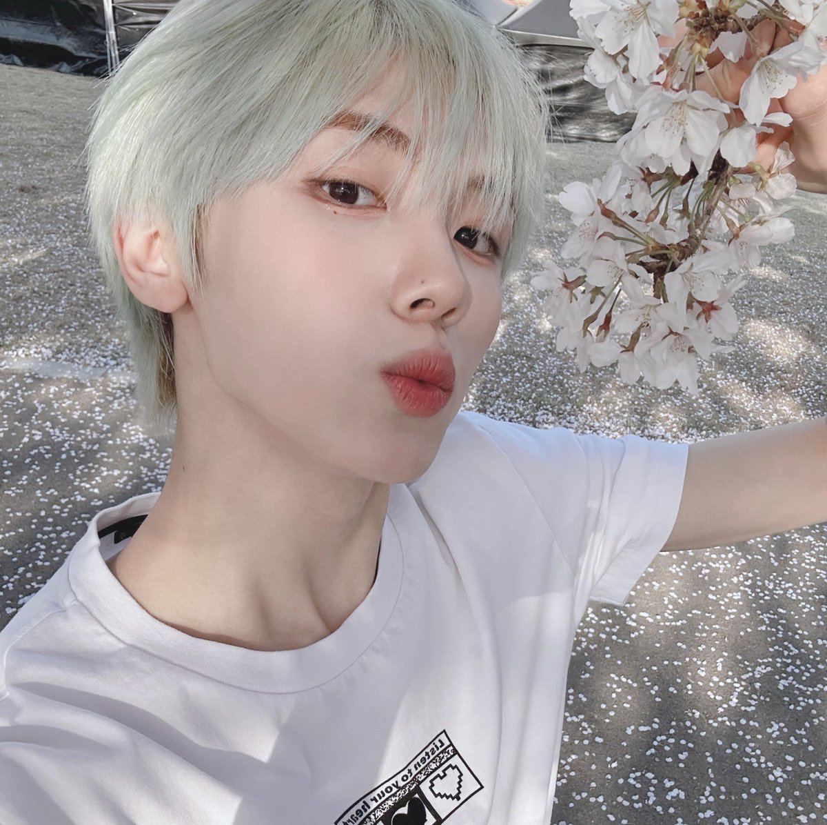 모래 tweet media