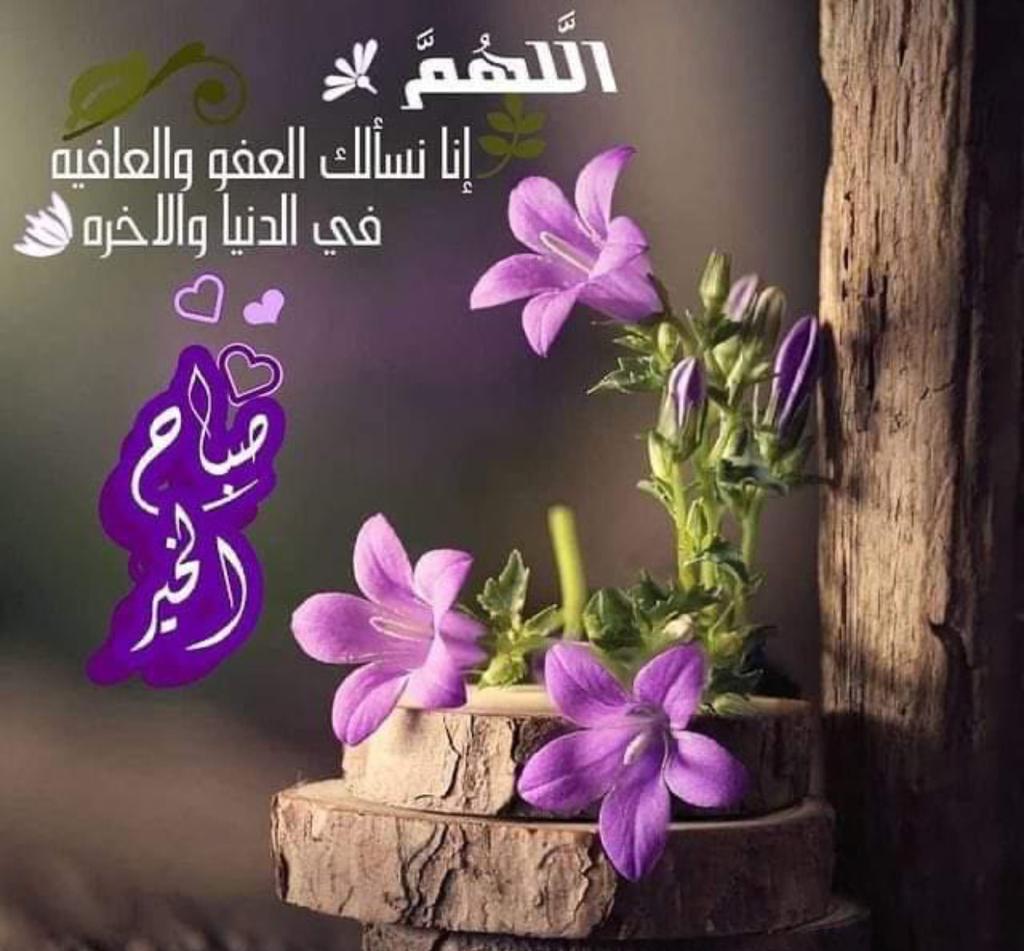 dubaidxb154's tweet photo. https://t.co/F2nXDLK06y