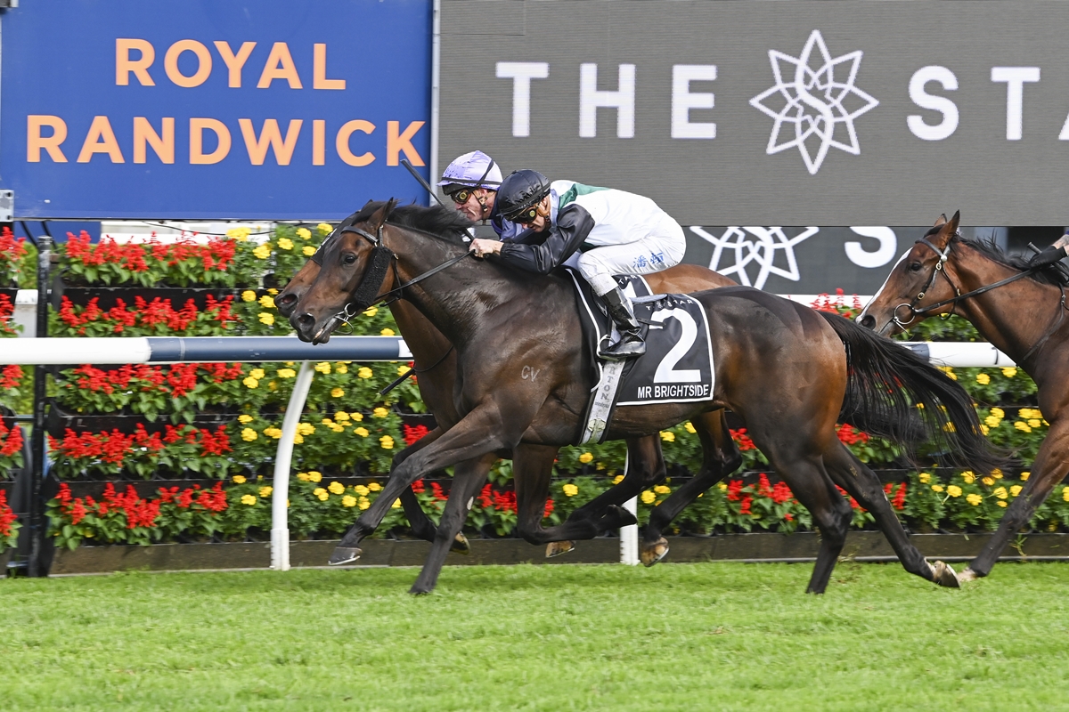 nzracingnews's tweet image. NEWS: #MrBrightside successfully defended his Gr.1 Doncaster Mile title on Saturday, storming home to claim the time honoured Randwick feature.
racingnews.co.nz/mr-brightside-…