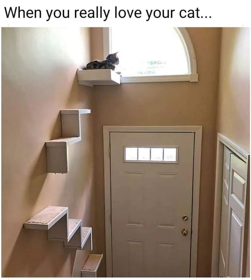 WholesomeMeme's tweet photo. https://t.co/bs7d8gfpCM
