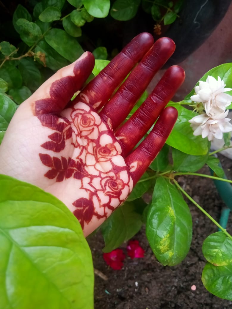 KaveriMehendi's tweet photo. The perfect, gorgeous & dark stain of Kaveri Mehendi Cone🌿
#Kaveri #KaveriMehendi #KaveriBrand #KaveriKeRang #BestMehendi #TyohaarKeRangKaveriKeSang #anupamaa #RupaliGanguly #natural #herbs #organic #VelnikIndia https://t.co/jZ6kH2FPtK