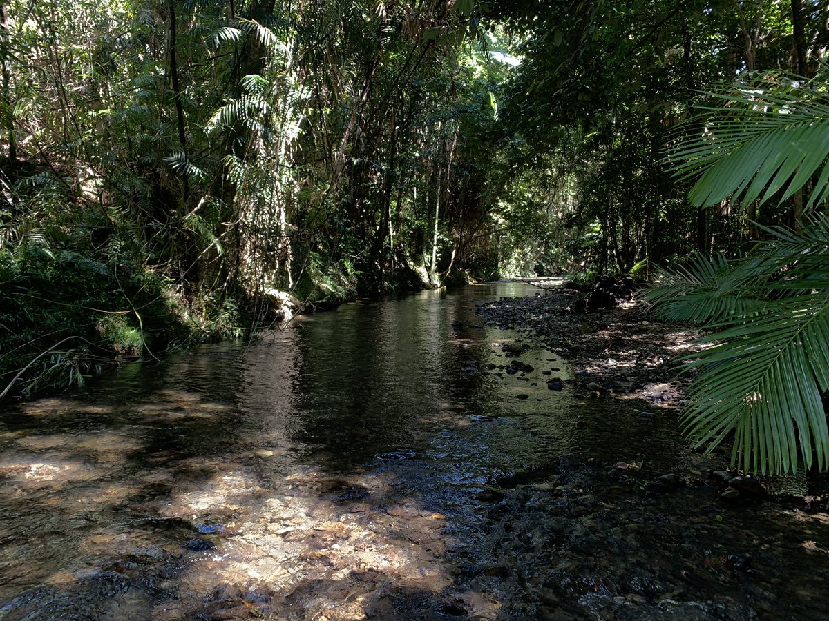 We’ve sampled 50+ tropical streams in just 10 days (and we aren’t done yet). What did it take? Lots of planning and labeling tape, ~4000km of driving and 6 wheels of cheese @ClementDuvert