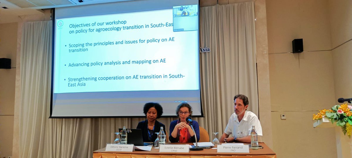 ASSETProjectSEA's tweet photo. #ASSETProject team @Cirad @FAOAsiaPacific @UNESCAP successfully delivered a policy regional workshop on policy for #agroecologytransition in South-East Asia, on 30-31 March in Bangkok, in the framework of the 10th #APFSD https://t.co/C9hEQq5Weu