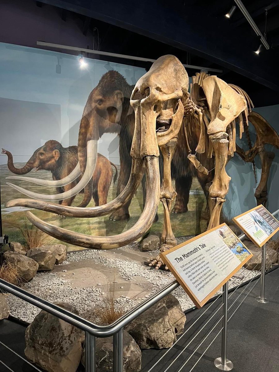 And we’re off!

The 2023 Shropshire Way 80k race got underway at 07:00 this morning &amp; their runners are moving along nicely along the trail.

We love supporting this event for both the 80k &amp; #Mammothon distances.

Follow the race live >

map.racetracker.no/?race=shropshi…

#shropshireway80k