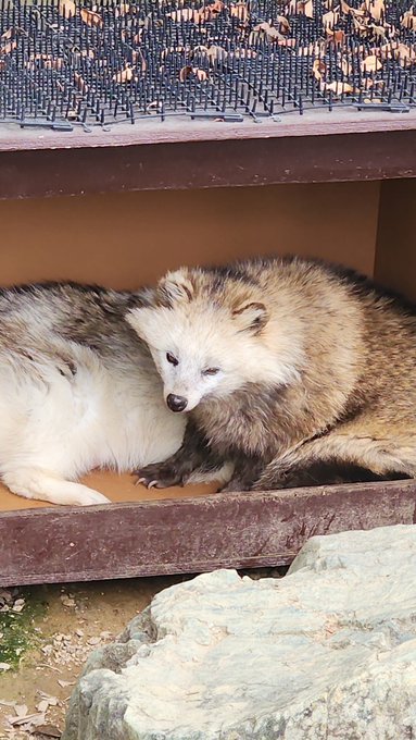 ポンコちゃんおきた☺️ 