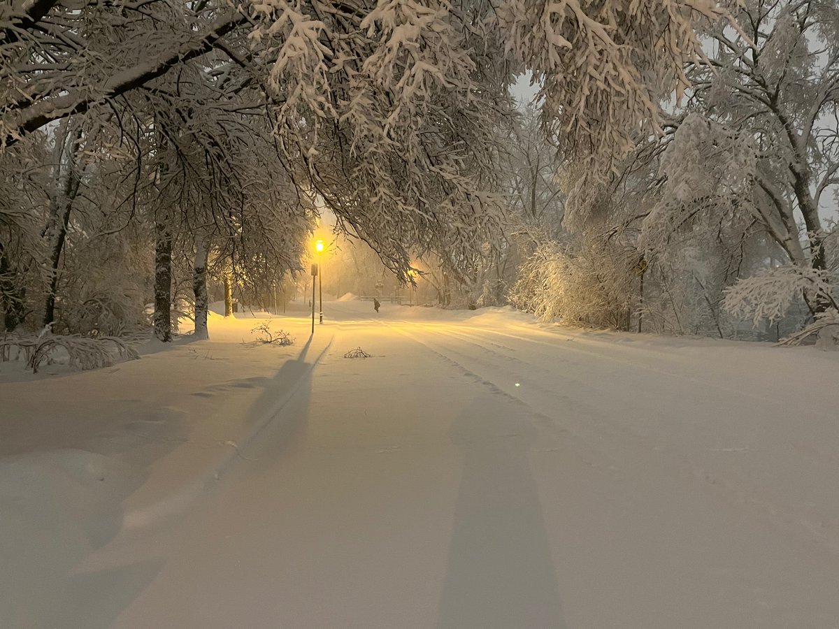 chris_steller's tweet photo. Same view (almost) as that video with the chair, at 2:30am in Minneapolis #mnwx #AprilFoolsBlizzard https://t.co/BNDFKOyhzf