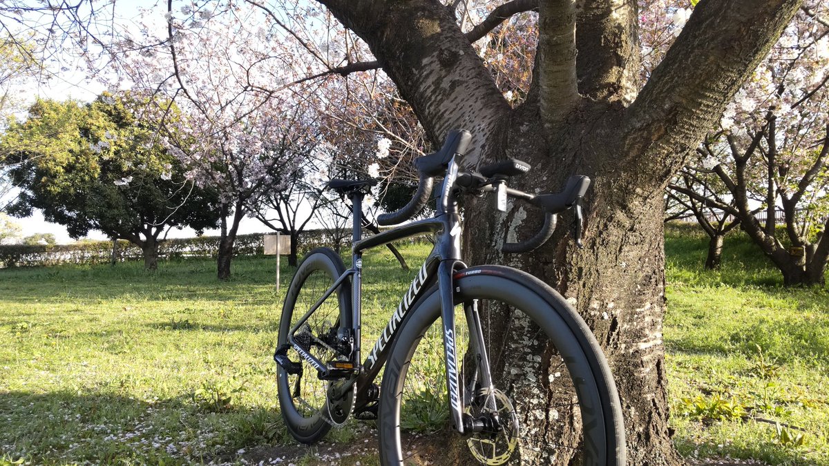 Raptor_F_22_'s tweet photo. ロードバイク納車しました。
完全に見た目で選んでます☺️
#Specialized
#ターマックSL7 https://t.co/h1ydjJIpHR