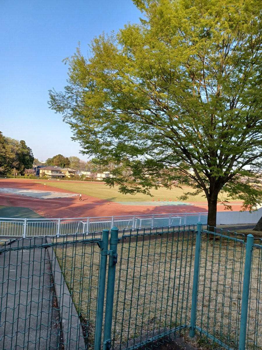 kk_longdistance's tweet photo. 新年度一発目の記録会でした
そういえば今日はエイプリルフールというものだったらしいですね
記録会でそんなこと完全に忘れてましたわ https://t.co/oYXYSreO43