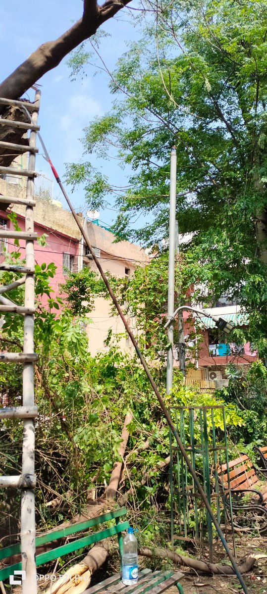 aapdimpleahuja's tweet photo. Tree 🌳 pruning work done ✅
Location :- C3A/125 , Janakpuri
#complaintclosed #Ward104 #blockc3a #janakpuri https://t.co/kkFFcxqHOx