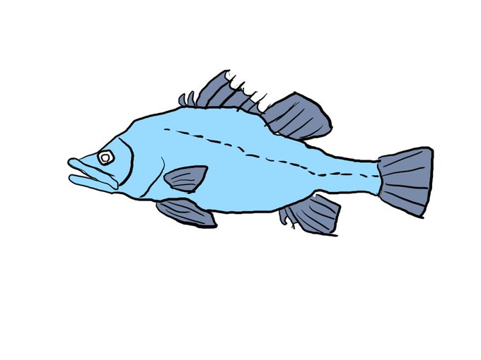 自分のクリスタ最古の絵を発見。ファイル日付は2015年6月17日。当時は液タブどころか板タブすら無かったのでマウス描き。何故描いたのが魚の絵かというと単純に女の子の絵を描くのがまだまだ恥ずかしかったから。 