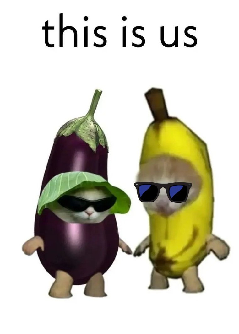 Danny23K's tweet image. Mia and I on the dance floor last night