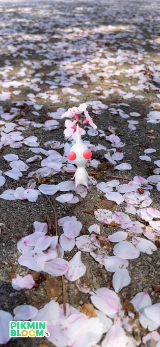 桜舞い散る春ですなぁ#ピクミン#ピクミンブルーム 