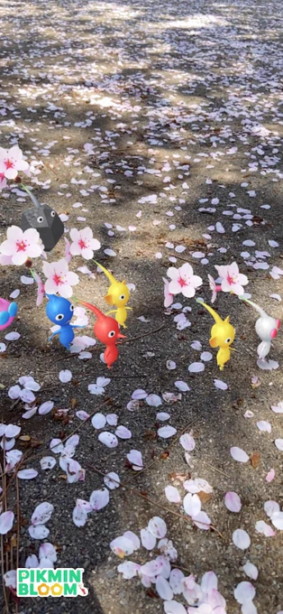 桜舞い散る春ですなぁ#ピクミン#ピクミンブルーム 