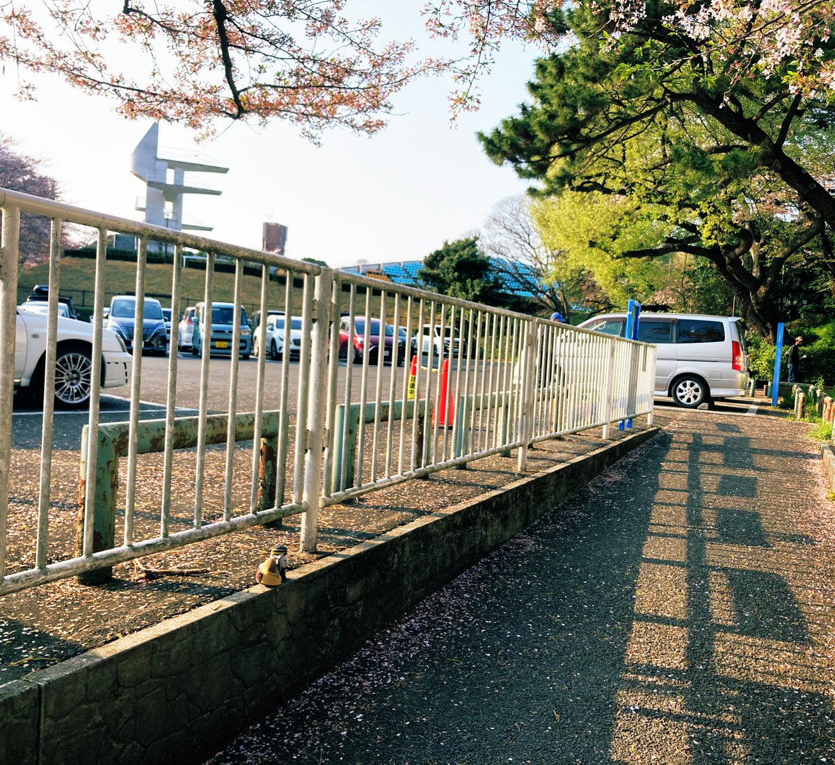 こいとさんを健気に探していたつきしまいぬ (@tsukishimainu) on Twitter photo 