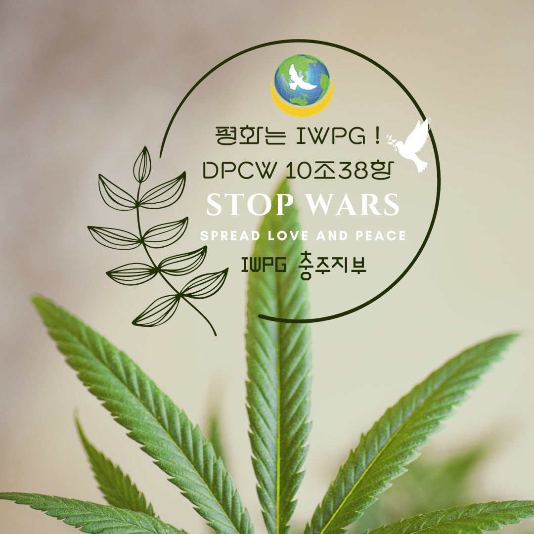 #IWPG #글로벌6국 #충주지부 
#지구촌전쟁종식 #평화선언문
#영원한역사평화 #전쟁NO
#지속가능한평화실현 #평화문화전파 #평화YES #Dpcw #10조38항 #국제법제정  #평화야친구하자 #우크라이나 #UN상정 #평화협정 #피스북카페