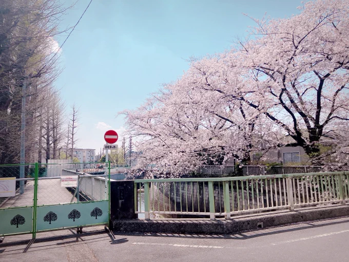春るんるん 