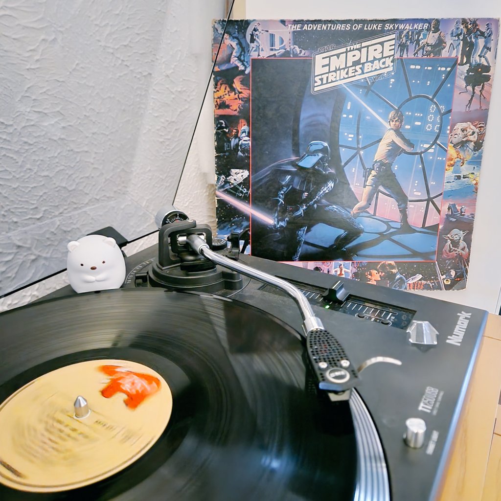 Brighter Day Record Shop tweet media