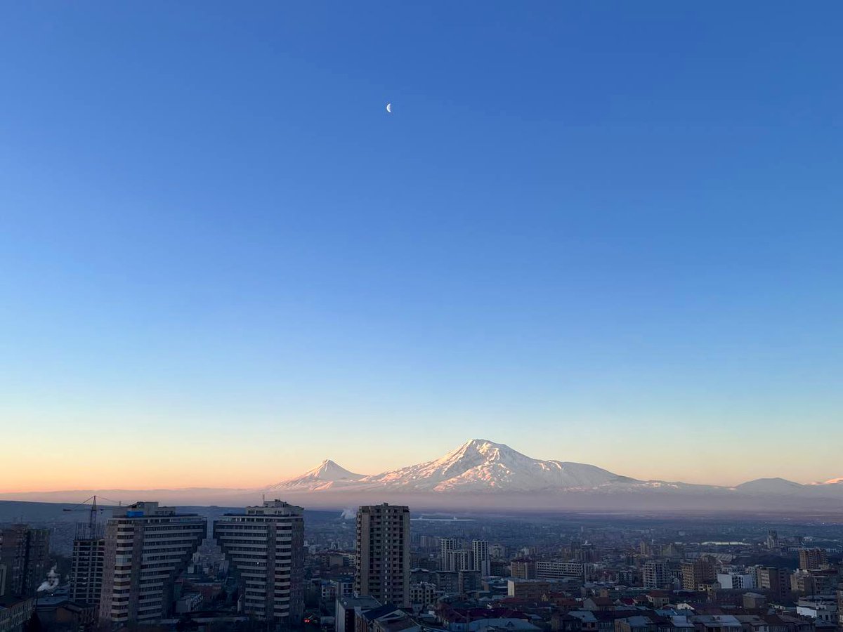 миša тудэj tweet media