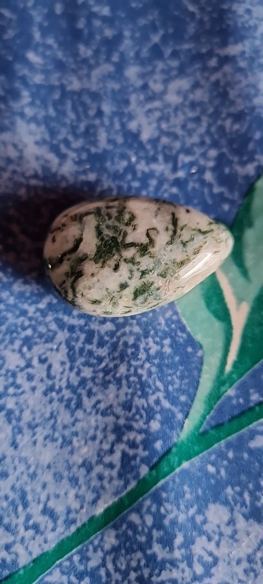 19Kath93's tweet image. #Baumachat #TreeAgate #gemstone #Edelstein #Heilstein #Sammlung #collection #Leidenschaft #passion #Kraft #Power #healing #Natur #nature #Heilen