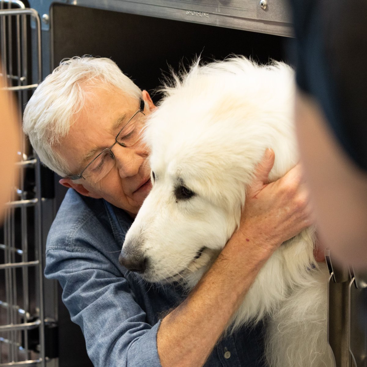 Battersea_'s tweet image. Our staff have been kindly sharing their favourite moments with Paul. 💙

"My fondest memories are when he would fall in love with an animal and take them off for a walk! I remember Linda, a big white fluffy dog—she dragged him off down the site! He came back in fits of giggles."