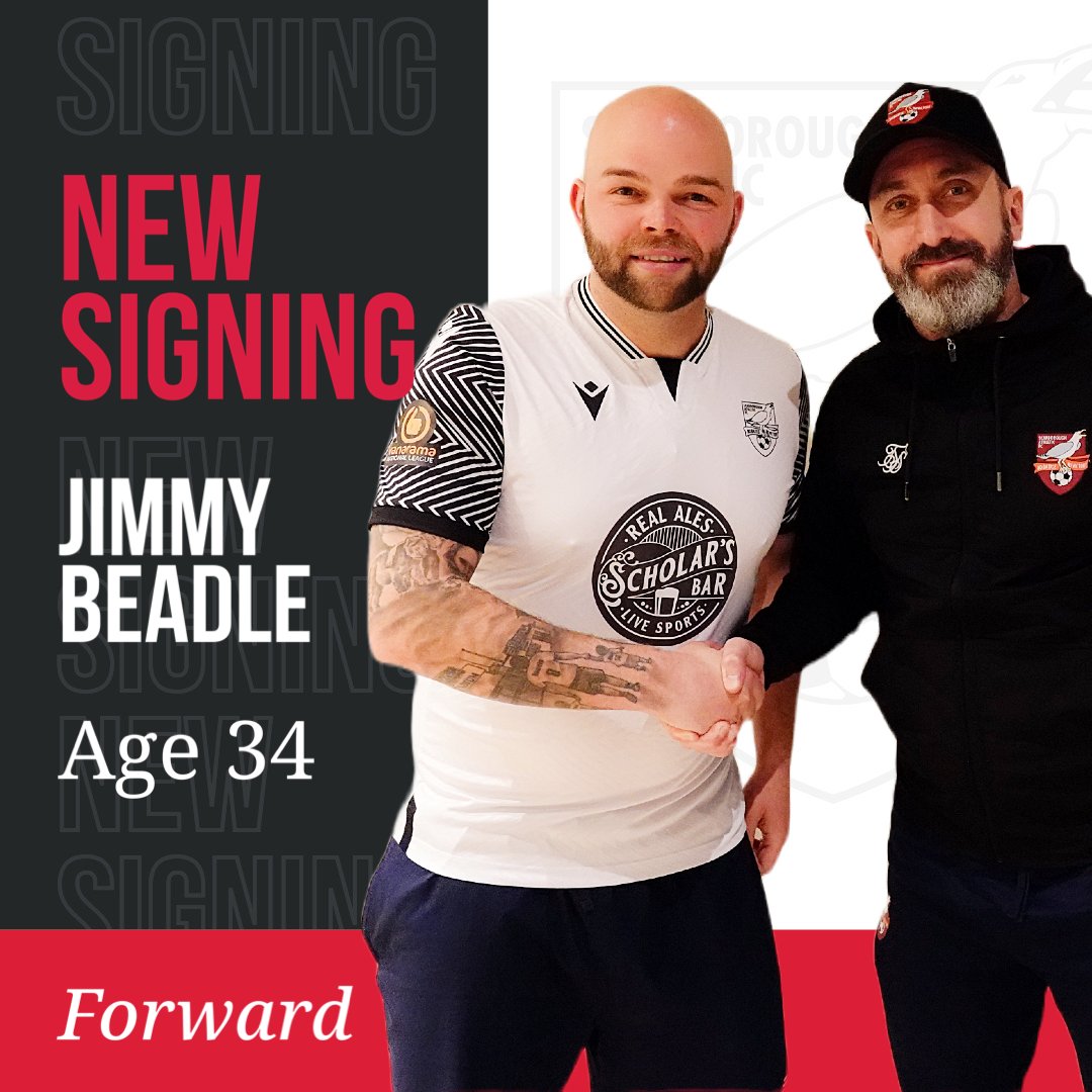 safc tweet picture